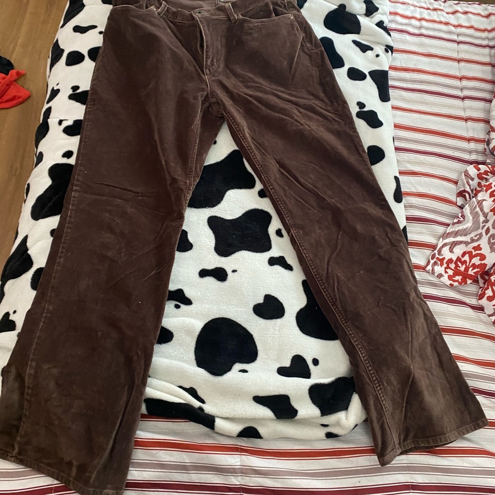 Brown saude L.L.Bean pants